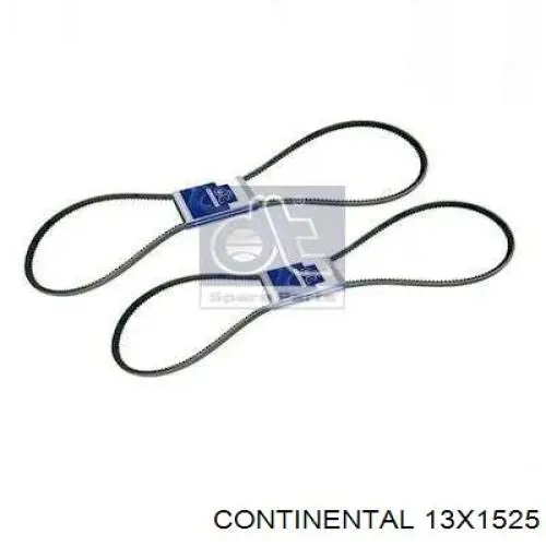 6491EXL Gates Correa poly v