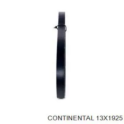 Correa de alternador 13A1925C Dayco