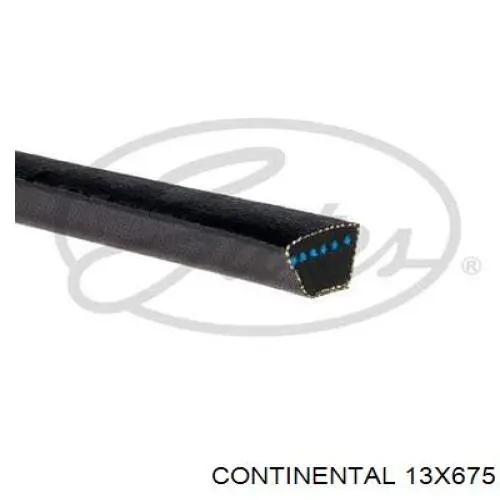Correa de alternador 13X675 Continental/Siemens