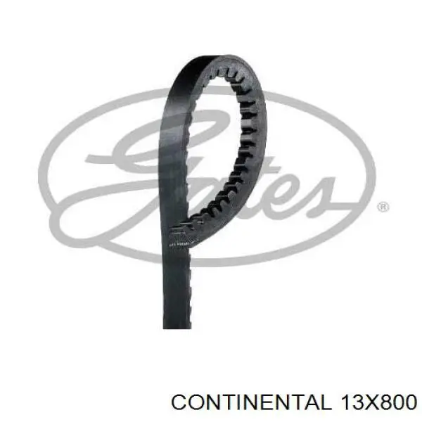 Correa de transmisión trapezoidal Continental/Siemens 13X800 precio, desde 10,27 EUR