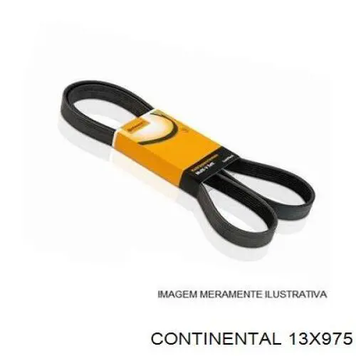 Correa trapezoidal Ford Ranger ET