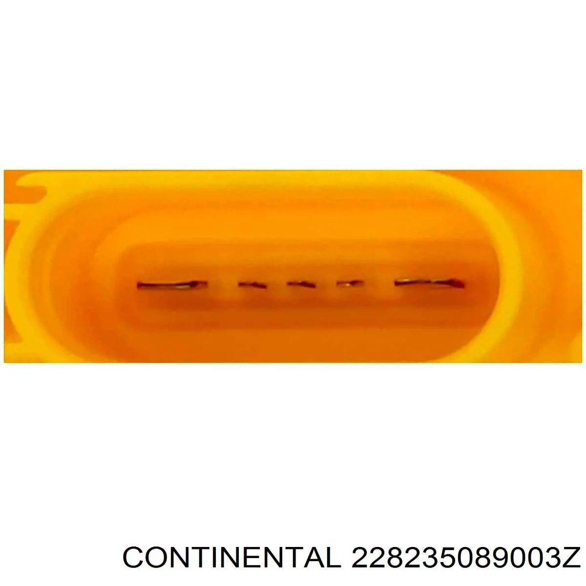 Módulo alimentación de combustible 4F0919051AK VAG