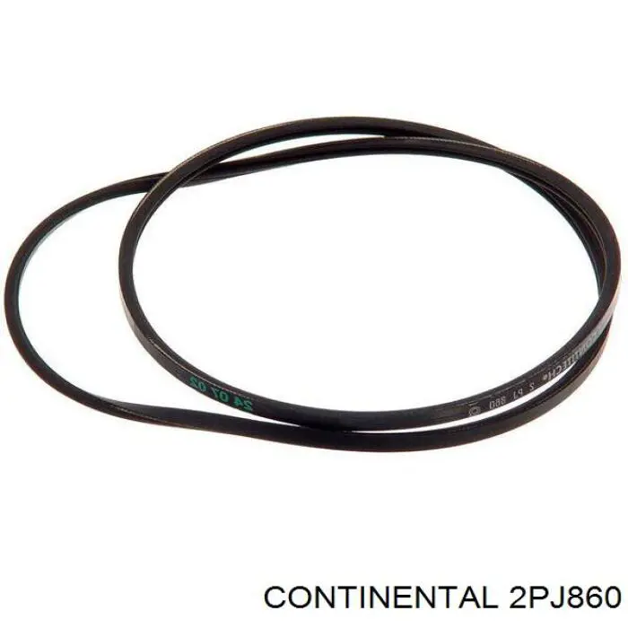 2PJ860 Continental/Siemens Correa poly v