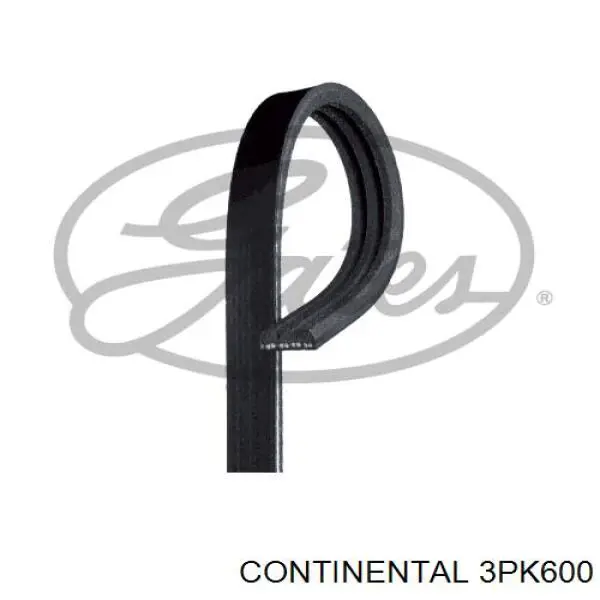 Correa de alternador 3PK600 Continental/Siemens