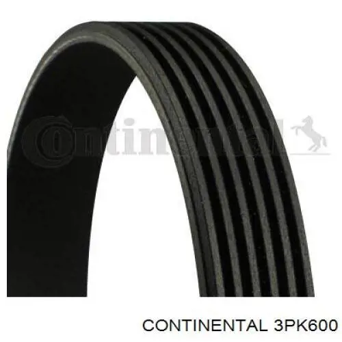 3PK600 Continental/Siemens Correa poly v