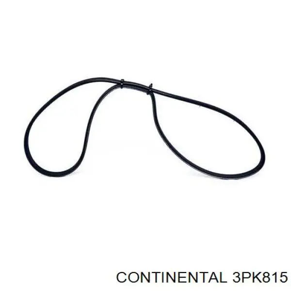 3PK815 Continental/Siemens Correa poly v