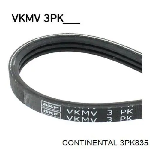 3PK835 Continental/Siemens Correa poly v