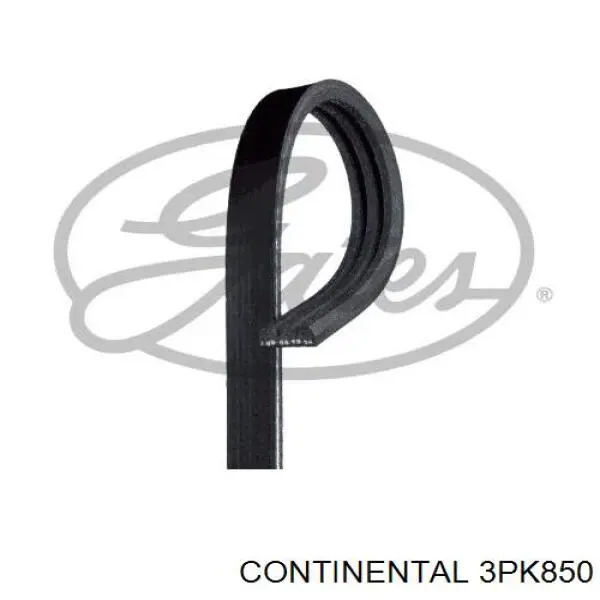 3PK850 Continental/Siemens Correa poly v