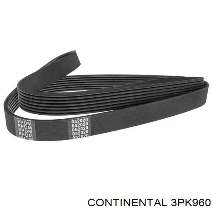 3PK960 Continental/Siemens Correa poly v
