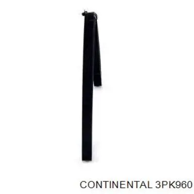 Correa de alternador 3PK960 Continental/Siemens