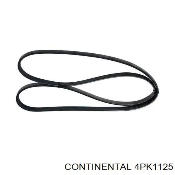4PK1125 Continental/Siemens Correa poly v