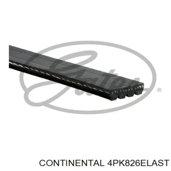 4PK826ELAST Continental/Siemens Correa poly v