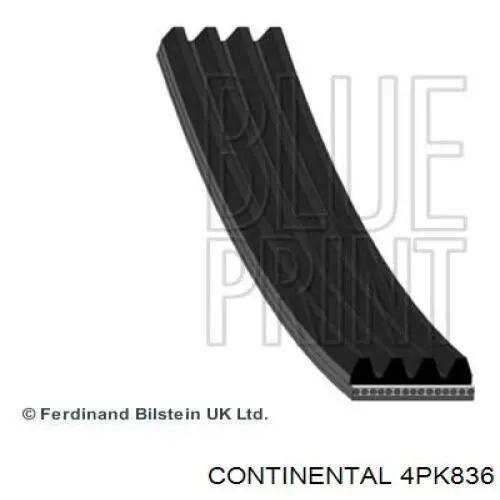 Correa de alternador 4PK836 Continental/Siemens