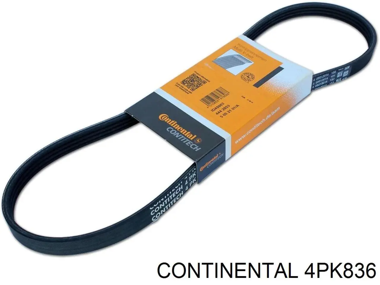 4PK836 Continental/Siemens Correa poly v
