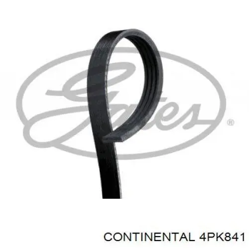 Correa trapezoidal Peugeot 205 1 741A, C