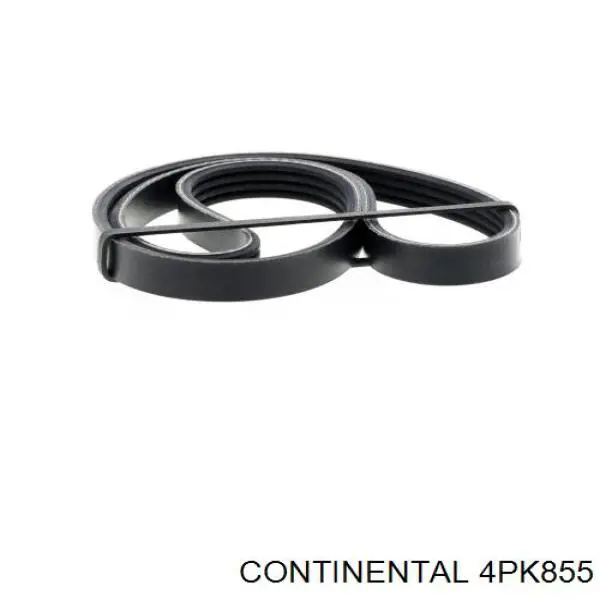 Correa trapezoidal Fiat Palio 178DX