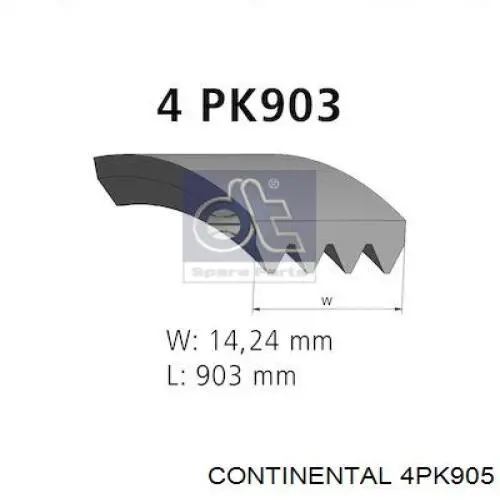 Correa accesorios Continental/Siemens 4PK905