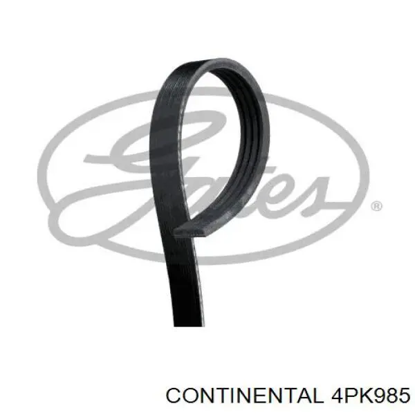 4PK985 Continental/Siemens Correa poly v