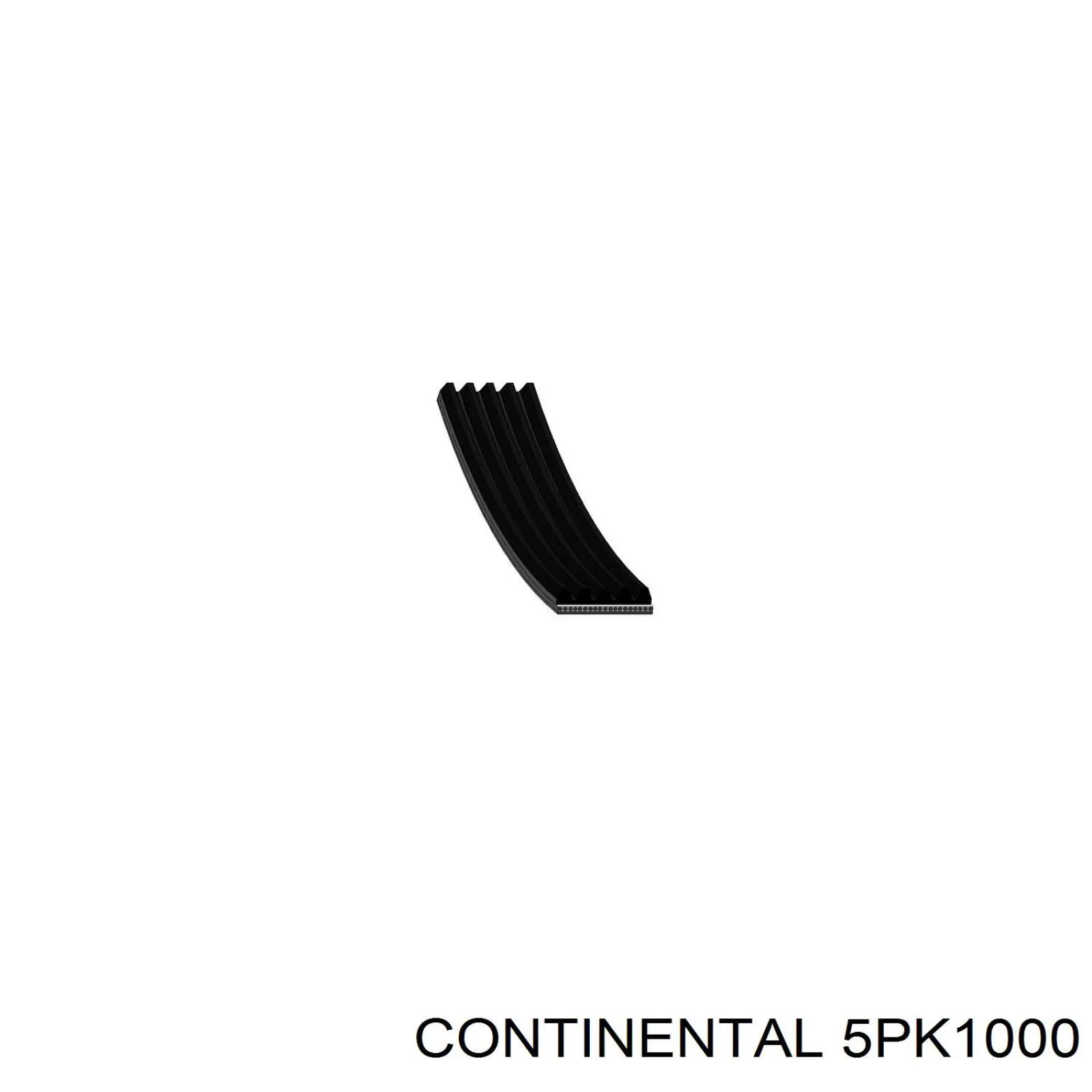 Correa de alternador 5PK1000 Continental/Siemens
