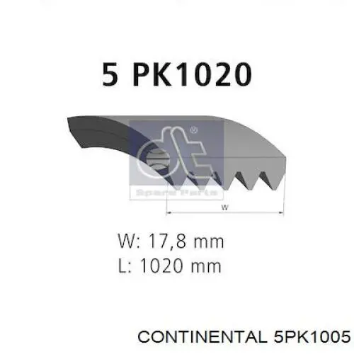 Correa accesorios Continental/Siemens 5PK1005