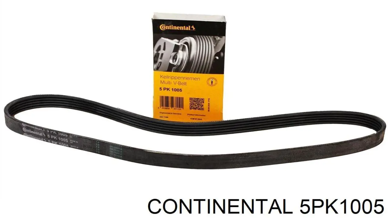 5PK1005 Continental/Siemens Correa poly v