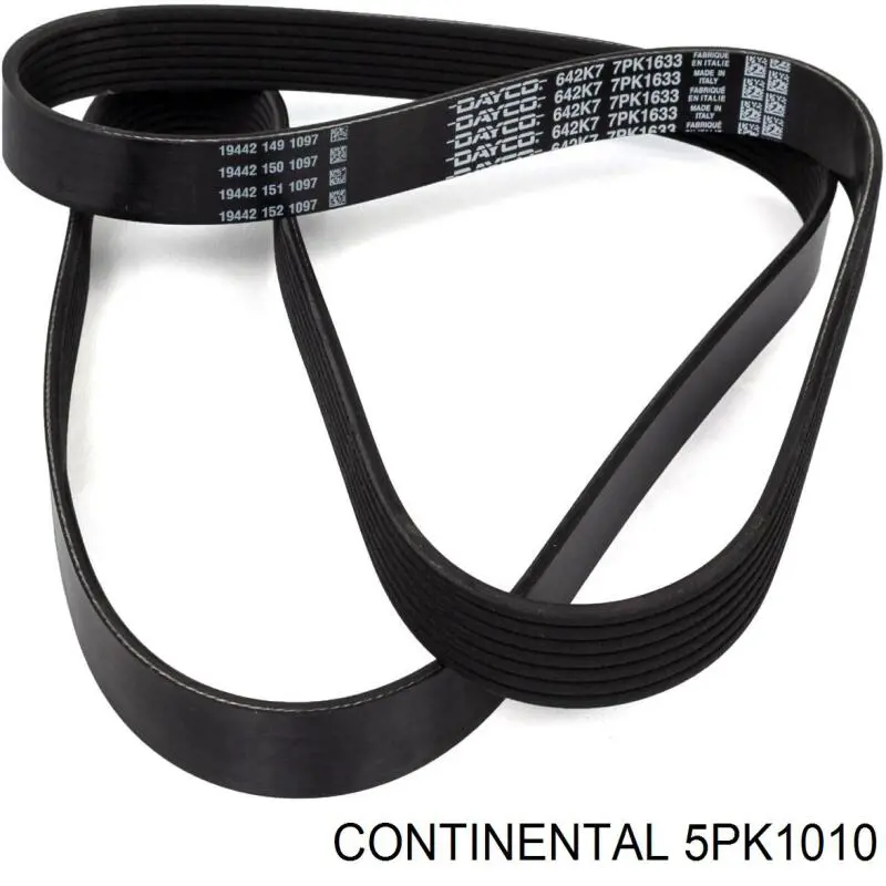 Correa de alternador 5PK1010 Continental/Siemens