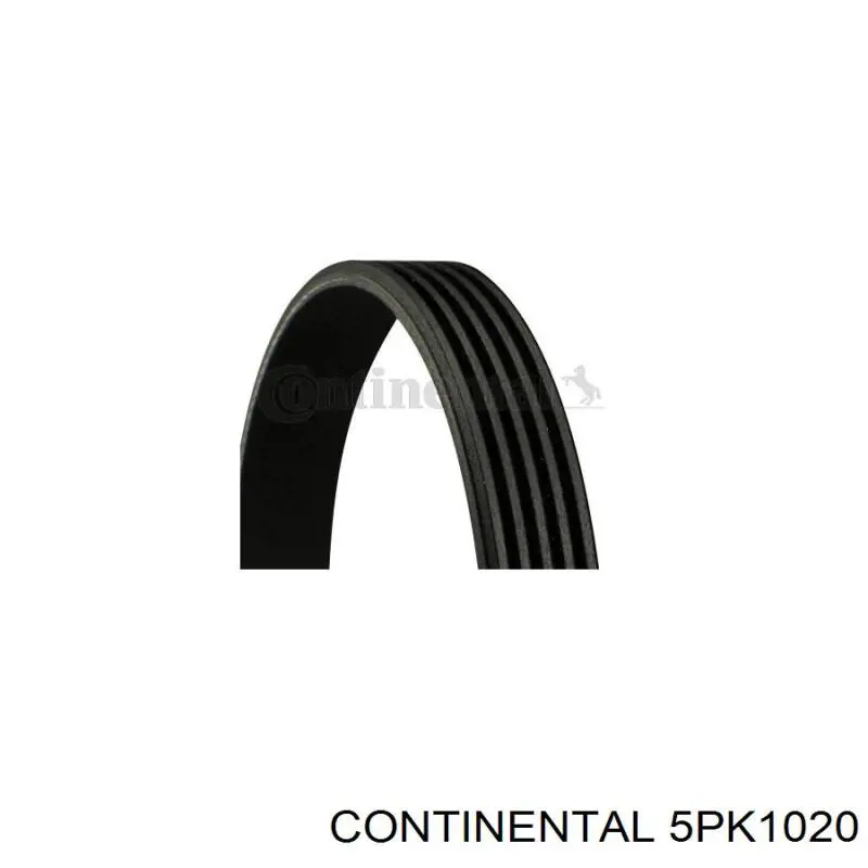 Correa de alternador 5PK1020 Continental/Siemens