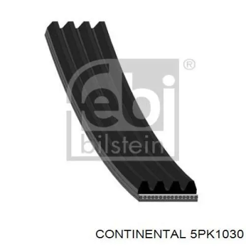 Correa de transmisión trapezoidal Continental/Siemens 5PK1030 precio, desde 17,86 EUR