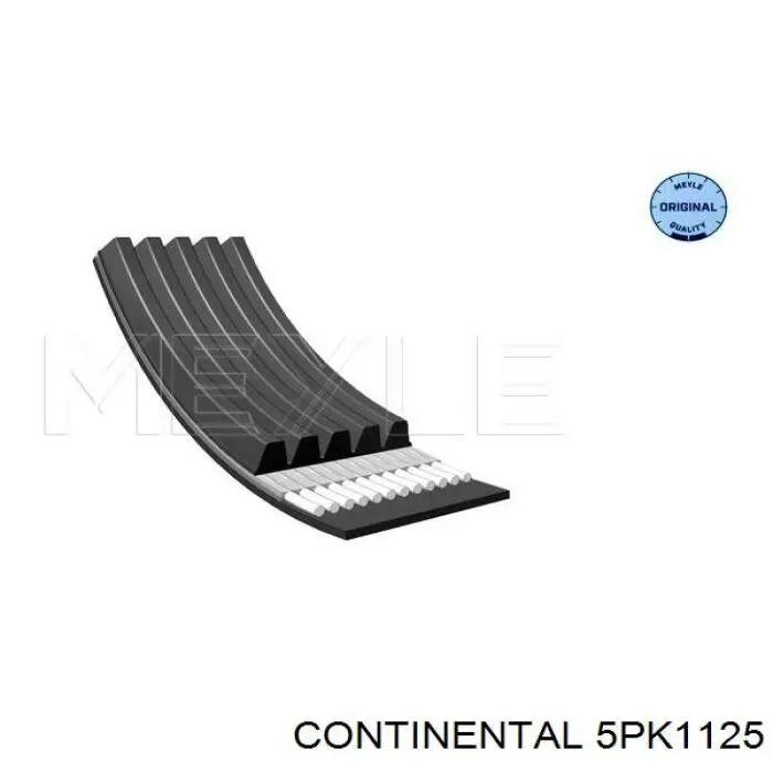 Correa de alternador 5PK1125 Continental/Siemens