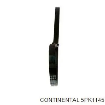 Correa de transmisión trapezoidal Ford 2009266 precio, desde 10,38 EUR