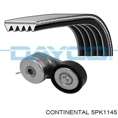 2009266 Ford Correa poly v