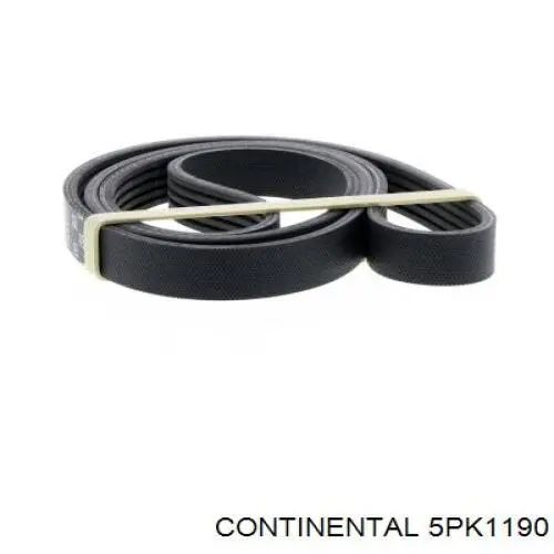 Correa de alternador 5PK1190 Continental/Siemens
