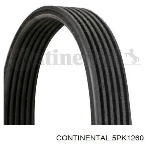 Correa de alternador 5PK1260 Continental/Siemens