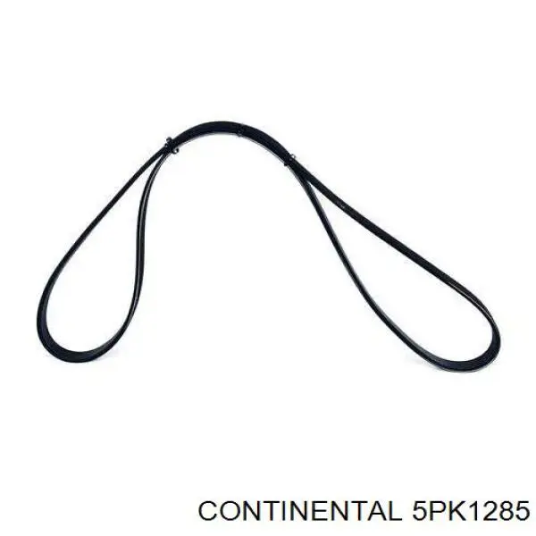 Correa de transmisión trapezoidal Continental/Siemens 5PK1285 precio, desde 12,78 EUR