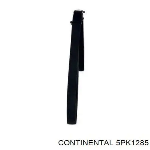 Correa de alternador 5PK1285 Continental/Siemens