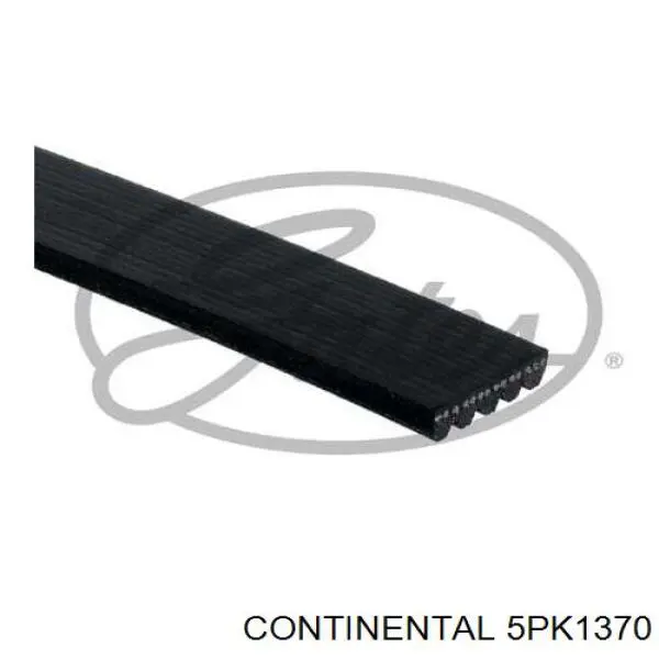 Correa de transmisión trapezoidal INA FB5PK1370 precio, desde 28,35 EUR