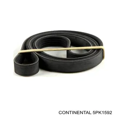 Correa de alternador 5PK1592 Continental/Siemens