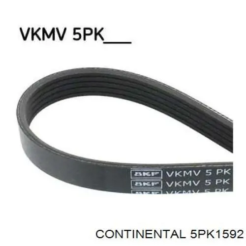 Comprar 5PK1592 Continental/Siemens Correa trapezoidal