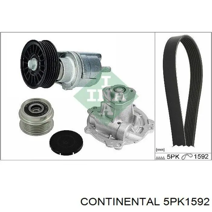 5PK1592 Continental/Siemens correa trapezoidal