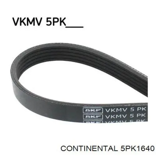 5PK1640 Continental/Siemens Correa poly v