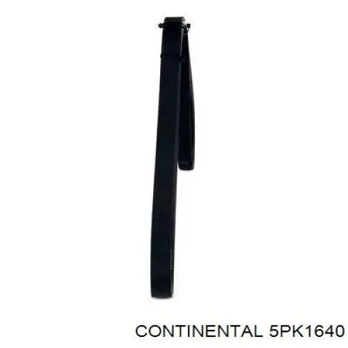 Correa de transmisión trapezoidal Continental/Siemens 5PK1640 precio, desde 28,88 EUR