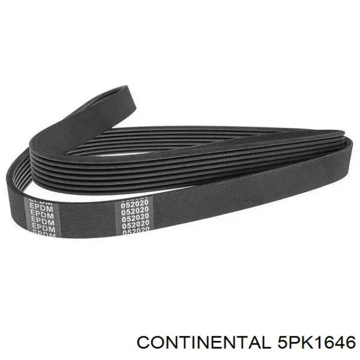 5PK1646 Continental/Siemens Correa poly v