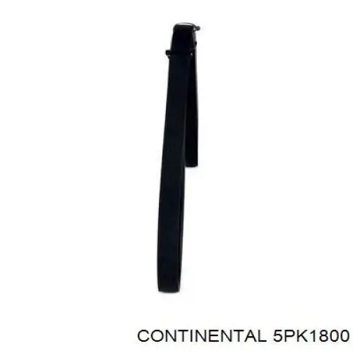 5PK1800 Continental/Siemens