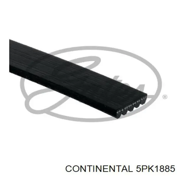 5PK1885 Continental/Siemens Correa poly v