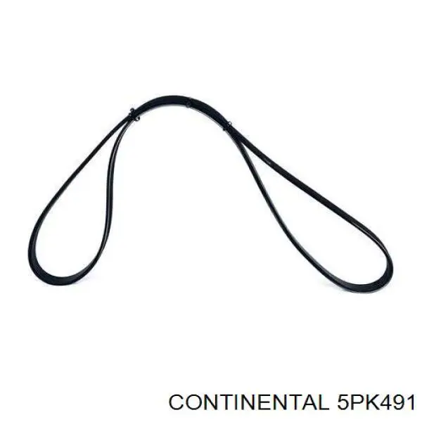 5PK491 Continental/Siemens Correa poly v