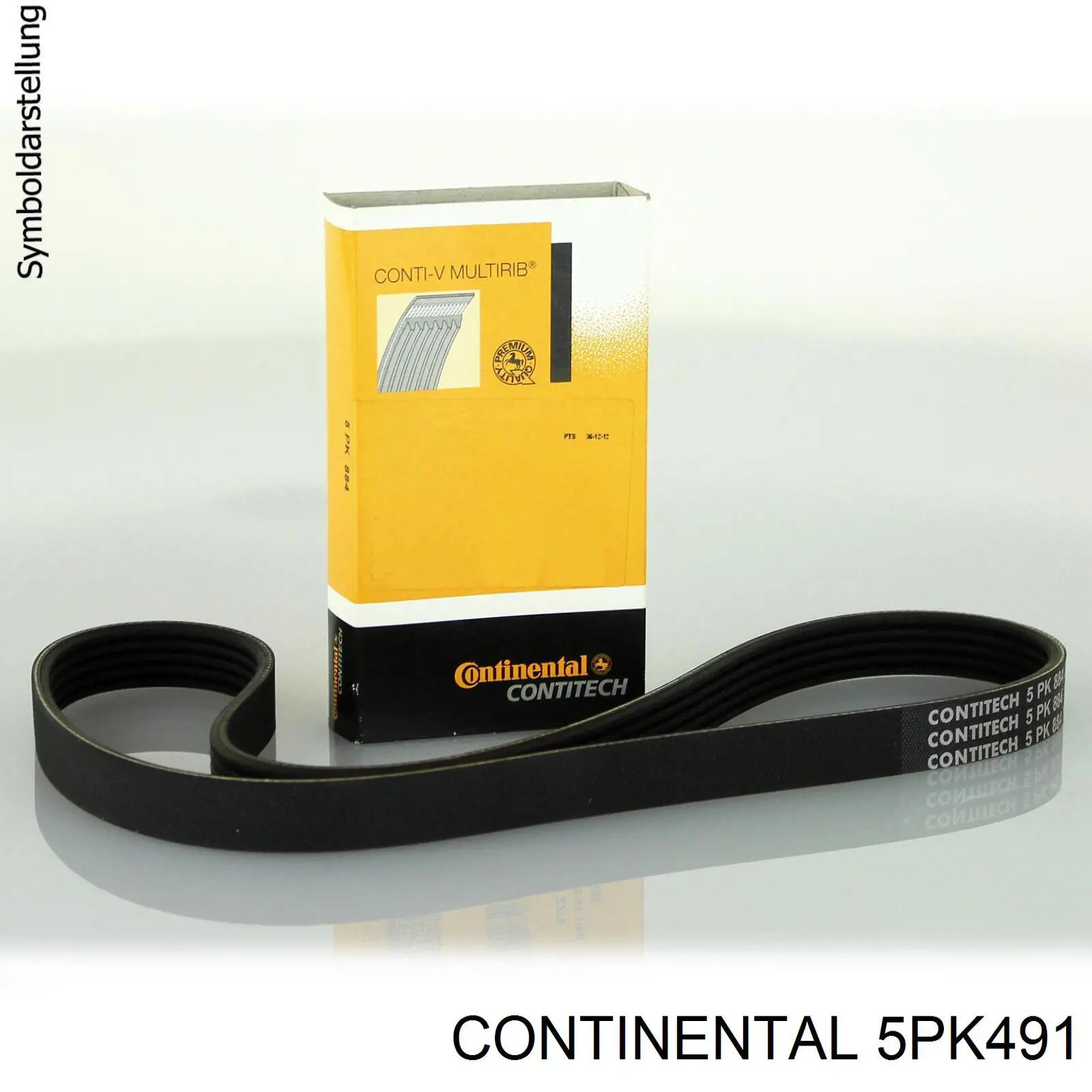 Correa de alternador 5PK491 Continental/Siemens