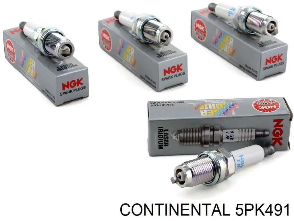 Correa de transmisión trapezoidal Continental/Siemens 5PK491 precio, desde 17,44 EUR