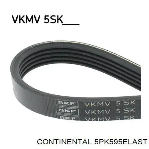 Correa de transmisión trapezoidal Continental/Siemens 5PK595ELAST precio, desde 8,98 EUR