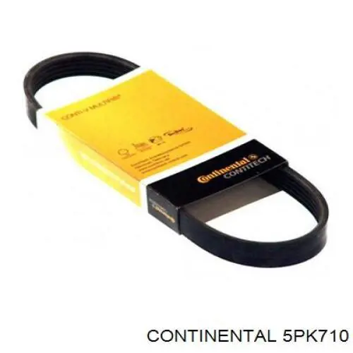 5PK710 Continental/Siemens Correa poly v