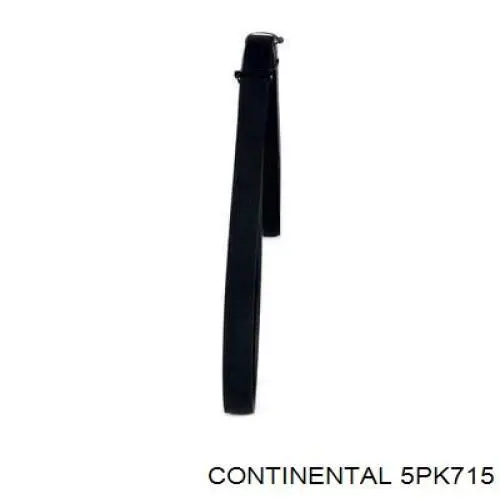 5PK715 Continental/Siemens Correa poly v